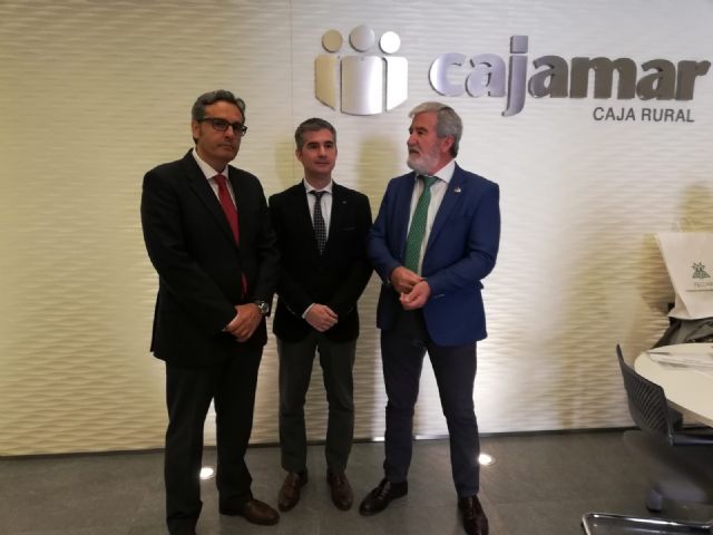 Más de 3.000 horas de sol en la Región sitúan la energía fotovoltaica como motor del regadío - 2, Foto 2