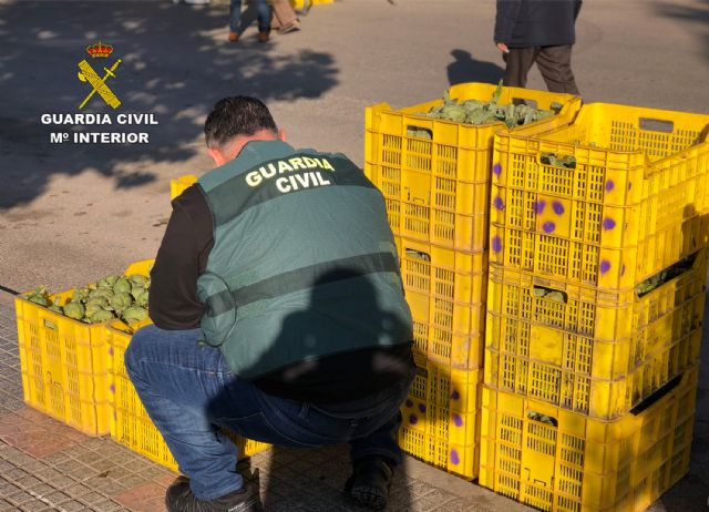 La Guardia Civil desmantela un grupo delictivo dedicado a la sustracción de productos agrícolas. - 4, Foto 4