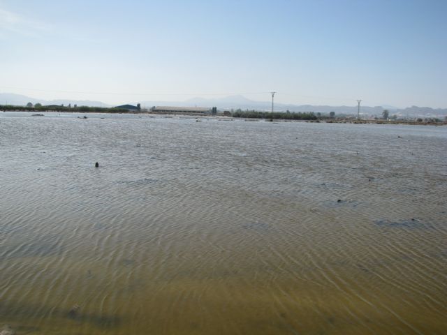 La CHS licita la contratación de los anteproyectos de las presas de Nogalte, Béjar y La Torrecilla - 1, Foto 1