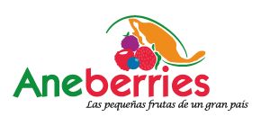 La industria de las Berries de México, un magnífico ejemplo del buen hacer en la crisis del COVID-19 - 2, Foto 2