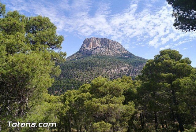 El Gobierno regional refuerza medios humanos y materiales para luchar contra los incendios forestales - 1, Foto 1