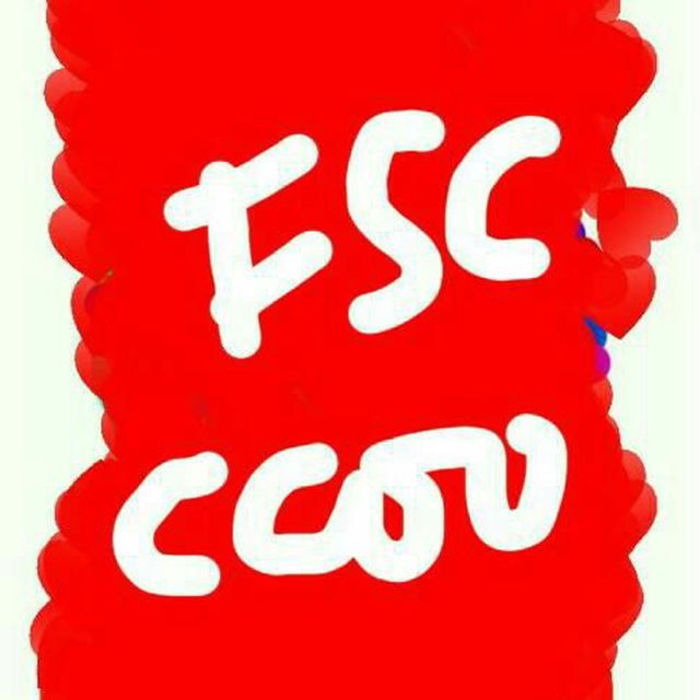 FSC-CCOO: Esta crisis no se superara sin el mundo del trabajo - 1, Foto 1