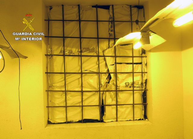 La Guardia Civil desmantela en una casa de campo de Librilla un invernadero intensivo con cerca de 200 plantas de marihuana - 4, Foto 4