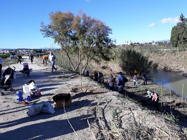 La Concejalía de Medio Ambiente de Molina de Segura y la Asociación de Vecinos de La Ribera de Molina realizan labores de restauración y plantación en el río Segura, en el paraje de Las Peñetas - 3, Foto 3