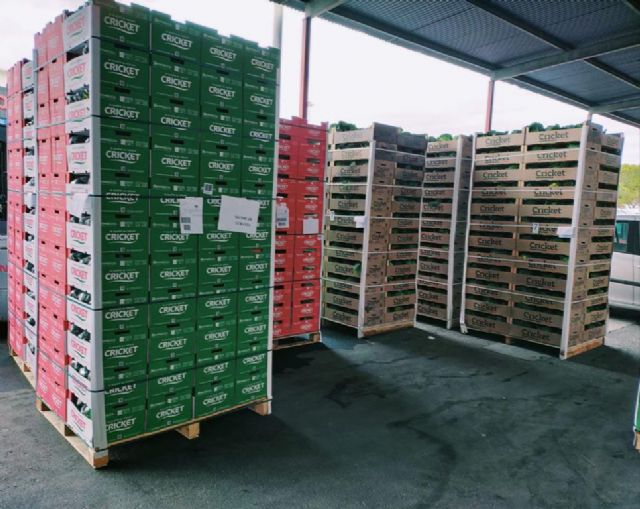 Cricket Campo de Lorca envía 14.000 kilos de ayuda humanitaria - 1, Foto 1