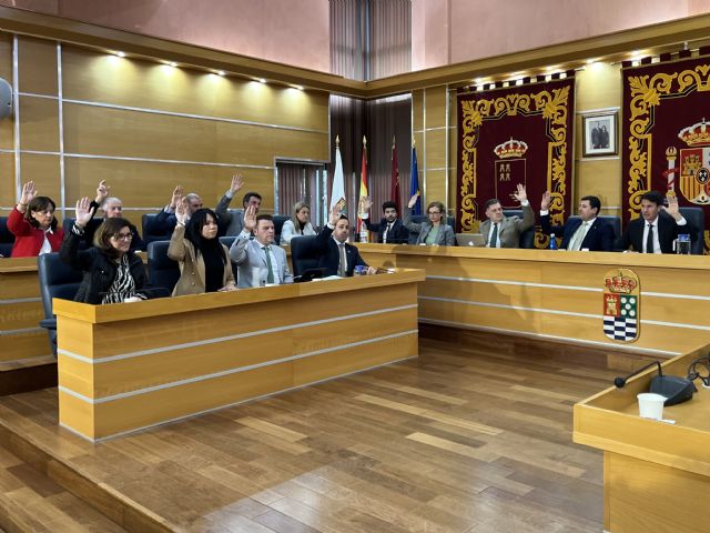 El Gobierno local de Molina de Segura saca adelante la ordenanza del servicio de grúa para la retirada de vehículos en la vía pública y su posterior custodia - 1, Foto 1