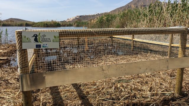 La CHS adquiere la finca La Raja dentro del Proyecto LIFE Cerceta Pardilla - 1, Foto 1