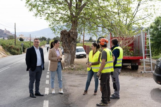 Comienza la poda de las moreras en la carretera RM-515 - 1, Foto 1