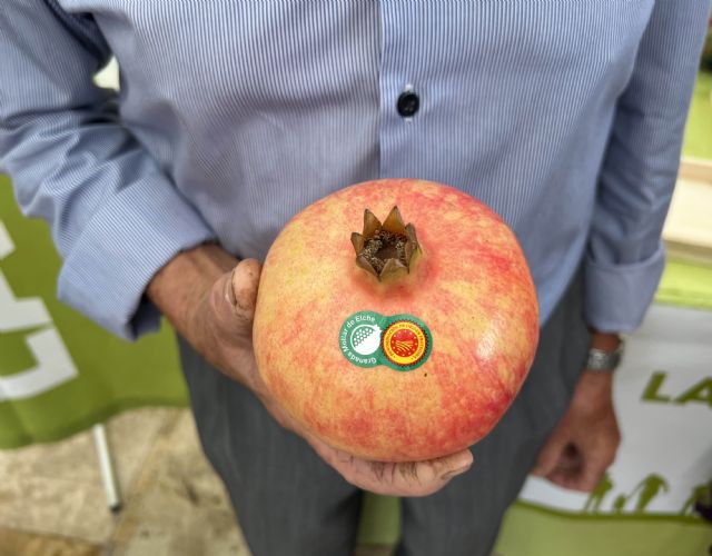 La Granada Mollar de Elche abre el plazo para inscribirse en la Denominación de Origen Protegida - 3, Foto 3