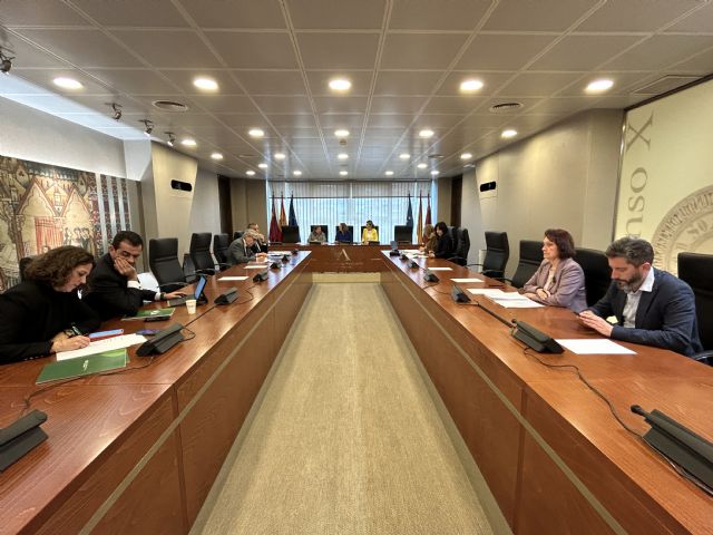 Las comparecencias en la Comisión Especial de Investigación sobre el Aeropuerto Internacional de la Región de Murcia continuarán la próxima semana - 1, Foto 1