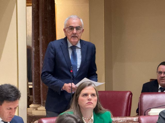 El Grupo Parlamentario Socialista realiza 3 preguntas orales al Consejo de Gobierno - 1, Foto 1