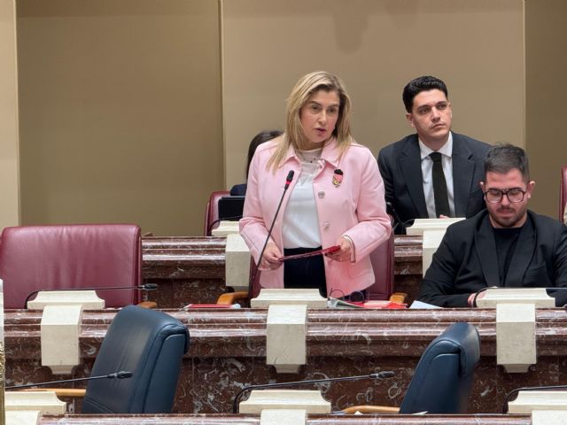 El Grupo Parlamentario Socialista realiza 3 preguntas orales al Consejo de Gobierno - 2, Foto 2