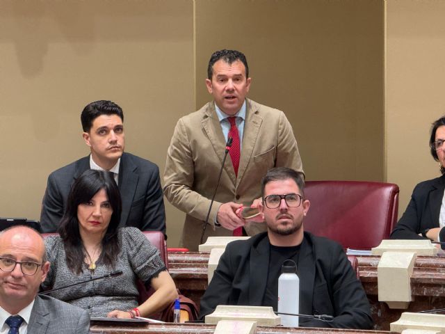 El Grupo Parlamentario Socialista realiza 3 preguntas orales al Consejo de Gobierno - 3, Foto 3