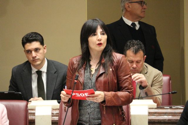 El Grupo Parlamentario Socialista realiza 3 preguntas orales al Consejo de Gobierno - 4, Foto 4