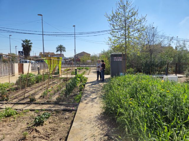 Cerca de un centenar de usuarios de los Huertos de Ocio se forman en recolección de semillas, conservación y siembra - 2, Foto 2