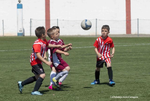 E.F. Alumbres en infantiles y C.D. Albujón en alevines, clasificados para la fase final de su categoría - 5, Foto 5
