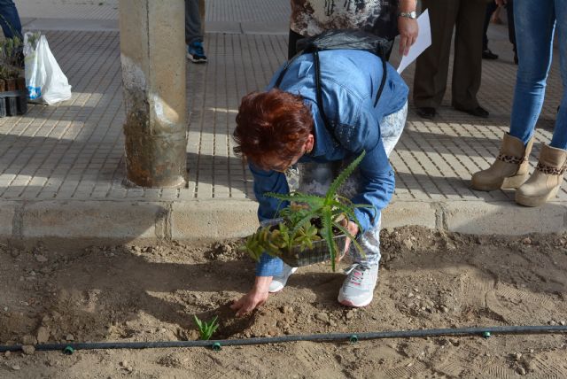 El Centro de Educación de Adultos se suma al Programa de Huertos Escolares - 2, Foto 2