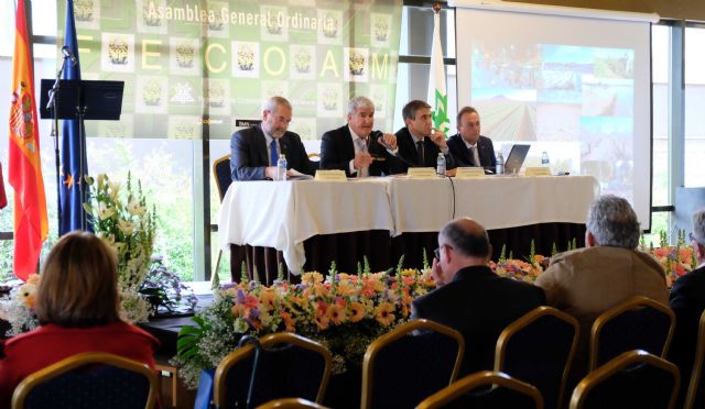 Fecoam celebra mañana su XXXIII Asamblea General en Murcia en la que renovarán su equipo directivo - 1, Foto 1
