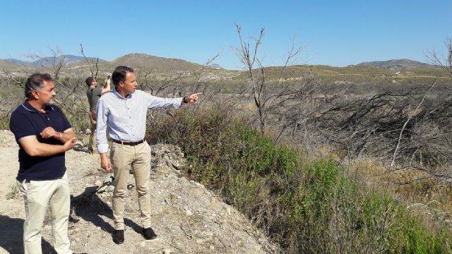 Fulgencio Gil: el domingo Lorca se juega la bonificación del 50% del IBI y el cierre del trasvase Tajo-Segura - 2, Foto 2