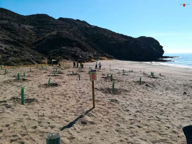 IU-Verdes Lorca pide actuar con contundencia en Calnegre y limitar su acceso ante los atentados medioambientales - 1, Foto 1