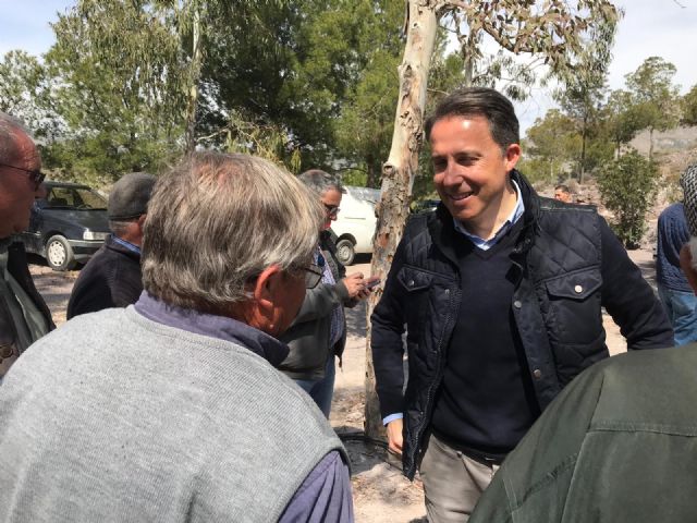 El Ayuntamiento planta durante el último año más de 2.600 árboles en el casco urbano y en las pedanías - 1, Foto 1