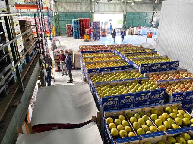 El Banco de Alimentos recibe 250 toneladas desde la declaración del estado de alarma - 1, Foto 1