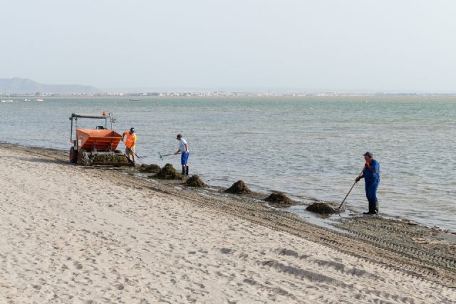 Litoral retoma la limpieza de playas y formará equipos mixtos con la CARM para la retirada de algas - 1, Foto 1