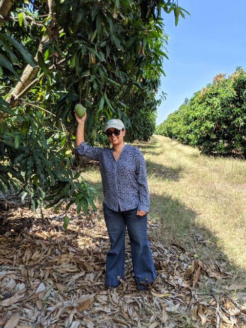 Nuestra visión es que el mango pase de ser considerado una fruta exótica a ser una fruta cotidiana en los hogares estadounidenses - 2, Foto 2
