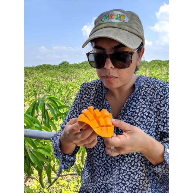 Nuestra visión es que el mango pase de ser considerado una fruta exótica a ser una fruta cotidiana en los hogares estadounidenses - 1, Foto 1