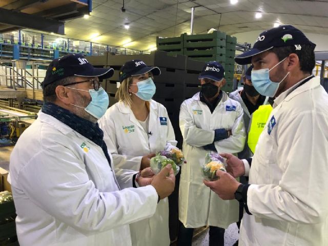 El consejero Luengo pone de relieve la apuesta de Levante Sur y Jimbo Fresh por la tecnificación y la agricultura sostenible de precisión - 1, Foto 1
