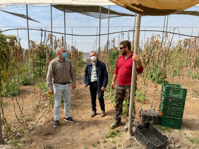 La Concejalía de Agricultura se suma a las peticiones de Asaja ante las pérdidas causadas en el sector por las lluvias - 1, Foto 1