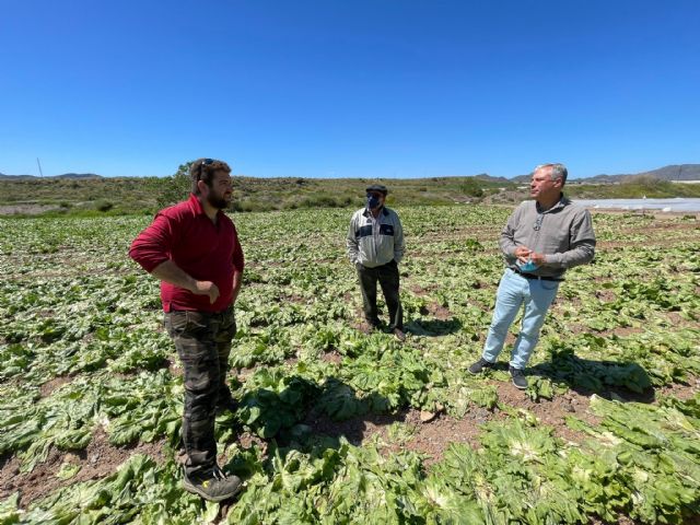 La Concejalía de Agricultura se suma a las peticiones de Asaja ante las pérdidas causadas en el sector por las lluvias - 2, Foto 2