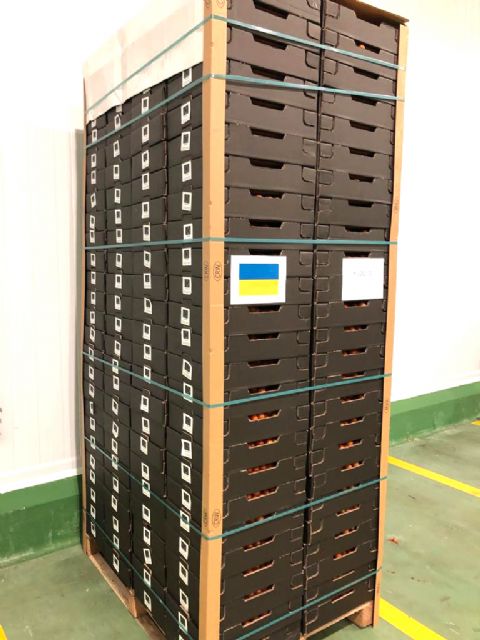 Looije dona dos palés de tomate cherry a Ucrania - 1, Foto 1