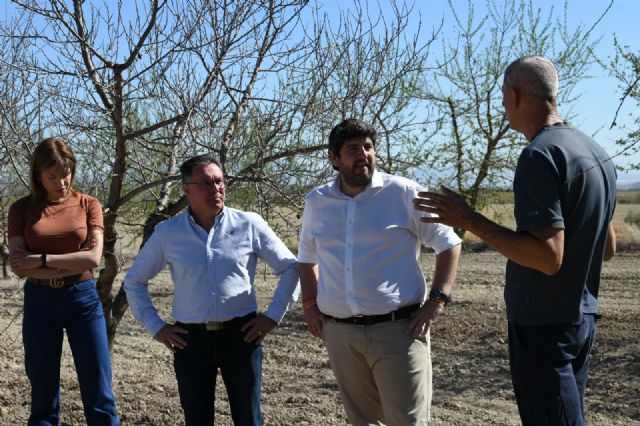López Miras: Exigimos al Gobierno de España que active ya ayudas directas y riegos de socorro que palíen los efectos de la sequía - 2, Foto 2