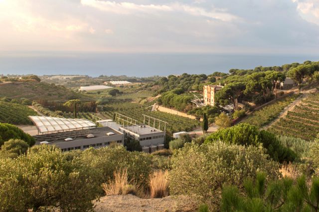 Alta Alella consolida su apuesta por el territorio e invierte 2,5 millones de euros en viñas - 1, Foto 1