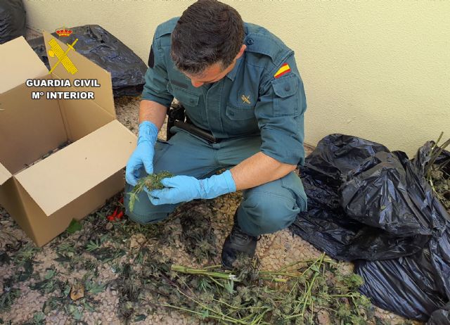 La Guardia Civil sorprende a dos personas transportando más de 100 kilos de marihuana en Torre Pacheco - 3, Foto 3