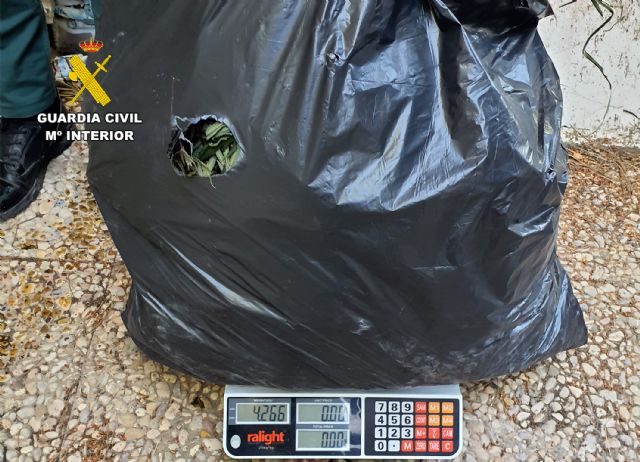 La Guardia Civil sorprende a dos personas transportando más de 100 kilos de marihuana en Torre Pacheco - 4, Foto 4