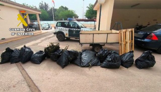 La Guardia Civil sorprende a dos personas transportando más de 100 kilos de marihuana en Torre Pacheco - 5, Foto 5