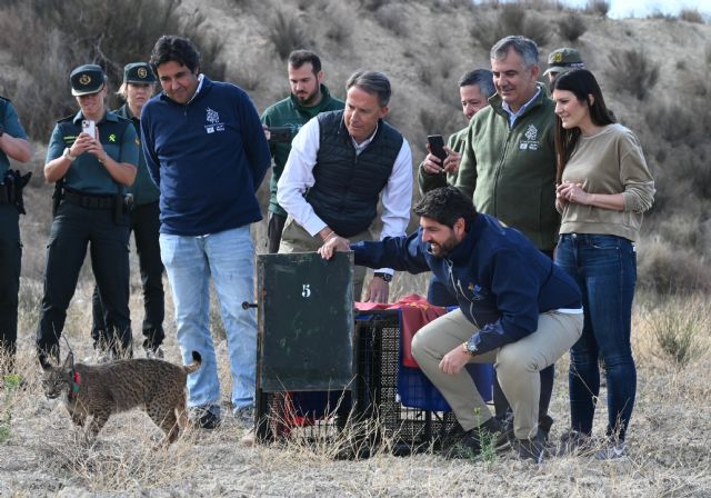 Fernando suelta dos nuevos ejemplares del lince en las Tierras Altas de Lorca - 1, Foto 1