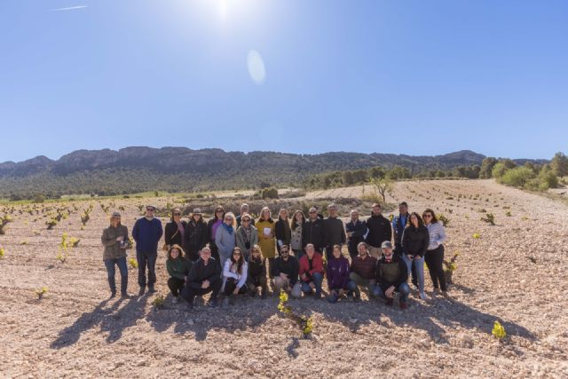 La DOP Jumilla se posiciona en el movimiento old vines - 1, Foto 1