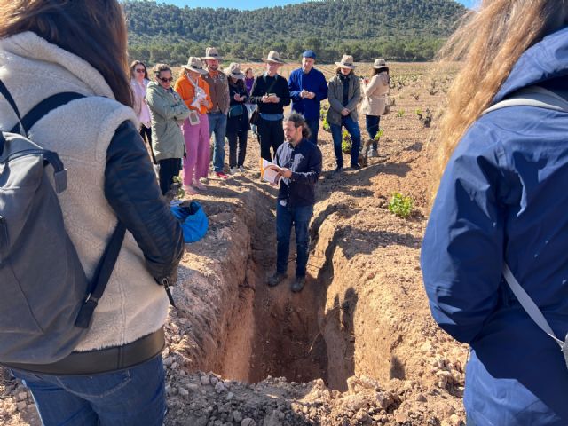 La DOP Jumilla se posiciona en el movimiento old vines - 2, Foto 2