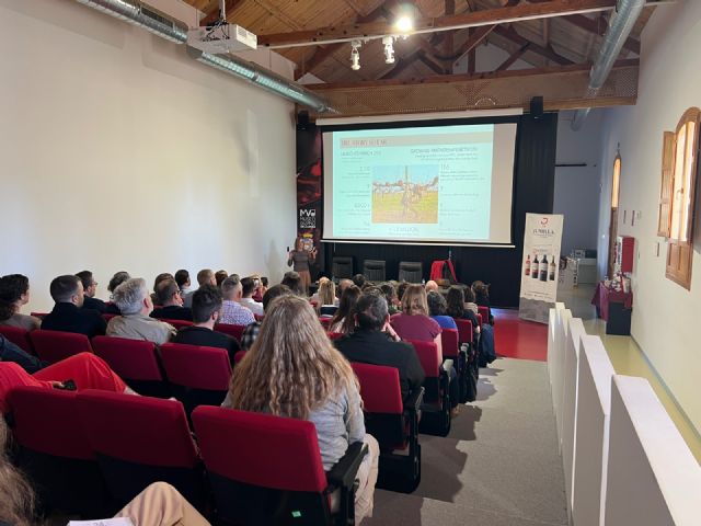 La DOP Jumilla se posiciona en el movimiento old vines - 4, Foto 4