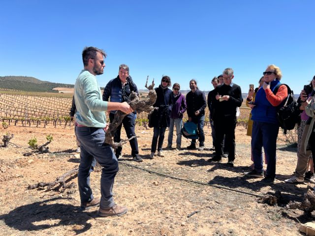 La DOP Jumilla se posiciona en el movimiento old vines - 5, Foto 5