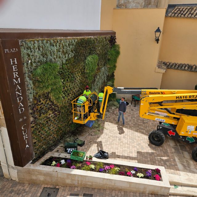 El jardín vertical de la Plaza Hermandad de la Curia, acondicionado con más de 300 nuevas plantas - 2, Foto 2