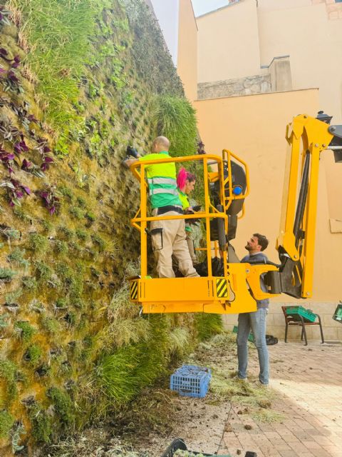 El jardín vertical de la Plaza Hermandad de la Curia, acondicionado con más de 300 nuevas plantas - 3, Foto 3