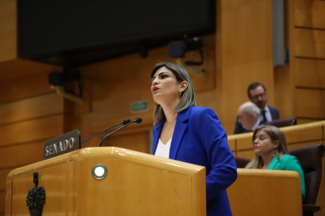 Inma Sánchez: El PSOE cumple con hechos su compromiso con la Región, mientras que el PP la traiciona votando en contra del Corredor Mediterráneo en el Parlamento Europeo - 1, Foto 1