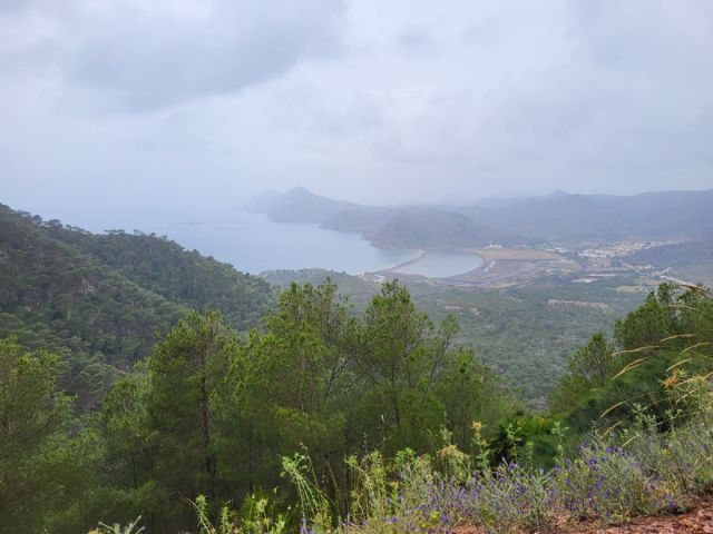 Murcia acoge la Asamblea del Colegio de Ingenieros Técnicos Forestales con más de 100 profesionales y nuevas distinciones honoríficas - 2, Foto 2