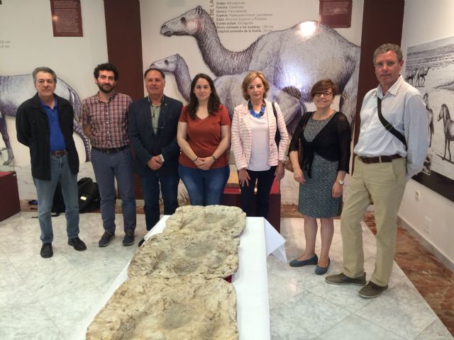 El Museo Jerónimo Molina dona varias huellas fósiles a la Universidad de Murcia - 1, Foto 1