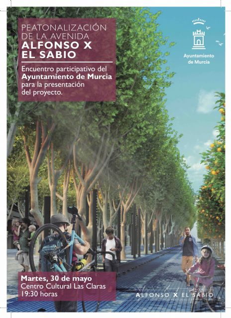 Fomento presenta el próximo martes a vecinos y comerciantes el proyecto para la remodelación de la Avenida Alfonso X - 2, Foto 2