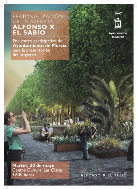 Fomento presenta el próximo martes a vecinos y comerciantes el proyecto para la remodelación de la Avenida Alfonso X - 4, Foto 4